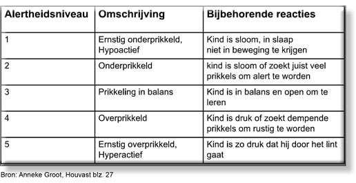 prikkelverwerking en alertheid