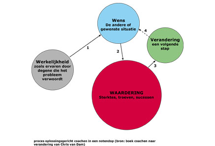 oplossingsgericht werken & visualisaties